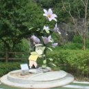 조양강 민박 이미지