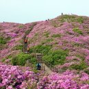 허브밸리(원형광장) Daum카페