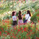 오만가지 이미지