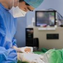 안양본동물의료센터 이미지