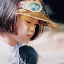 뉴질랜드 한국전 참 이미지