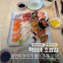 혁이네활어 | 광안리 데이트하기 좋은 초밥집 혁이네 초밥 현지인도 추천한 맛집 후기