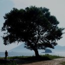 다숲민박 이미지