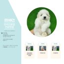 파주켄넬 이미지