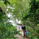 백용기농장 이미지