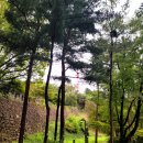 남산공원길1 이미지