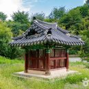 임삼로 티스토리