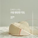 나비천사 | 임산부바디필로우추천 일상유희 나비형 바디필로우 내돈내산 솔직후기 (feat.공구가격)