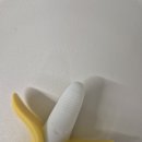 본앙쥬 | 앙쥬 치발기 사용 후기, 2개월 아기부터 준비한 이유 (+구강기 시작 전 미리 준비한 육아템)