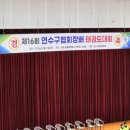 챔피언태권도 | ​[연수구 태권도대회] 메달보다 빛나는 땀방울! 태권소년·소녀들의 30일간의 여정의 끝