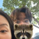 태인무역 | DW 인턴로그 🫧🌿