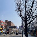 챔프 티스토리