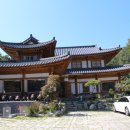 불미골오리 이미지