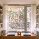 스테이고성 이미지