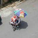 황금마차 이미지