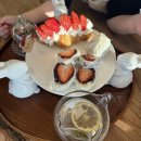 토토농장 | 토토아뜰리에 후기