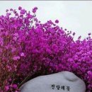 진달래노래방 이미지