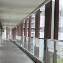 키스 | 푸꾸옥 선셋타운 투어 솔직 후기 + 키스오브더씨 공연 | 3일차 (2025)