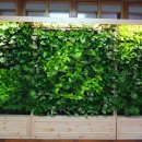 개림중학교 이미지