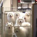 겨울이 머무는 집 이미지