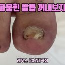 레푸스강남세곡점 이미지