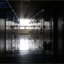신안동7 네이버블로그