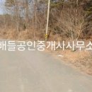 대전리목장 네이버블로그
