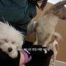 뽑기얌얌 이미지