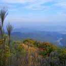 그린고속관광(주) 이미지