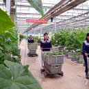 중평농장 이미지