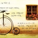 세인가헤어