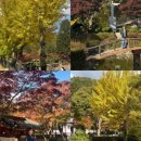 중앙여울펜션 이미지