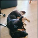 예명약국 이미지