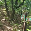 팔야1리 이미지