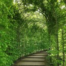 호구포한의원 이미지