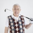 스윙의 기초 이미지