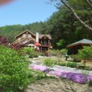 박달재농원 이미지