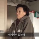 고마워, 강아지 이미지