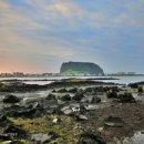 오조리-2 이미지