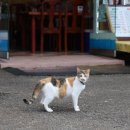 금광여관 이미지