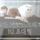 고양이스크래쳐 추천 로마 거묘스크래쳐 초대형 R2를 써봤다냥!