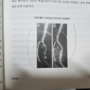 진전기 | 무엇을 먹을 것인가 저자 콜린 캠벨