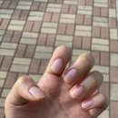 앙큼한 언니네