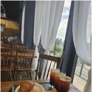 힐링 펫 카페 이미지