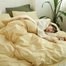 대상바이오 | 뮤즈 고밀도 바이오워싱 순면 호텔식 차렵이불 선택 후기