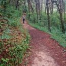 지리산둘레길 1코스 이미지