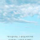 (주)모닝풀 이미지