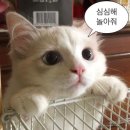 율곡천 4 | 한국전력기술 인턴 일기 (2주차)