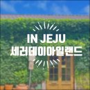 세러데이아일랜드 | 제주 서귀포 카페추천, 이국적인 감성 가득 세러데이아일랜드 방문후기
