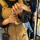 안성 | 평택 아이랑 갈만한 곳 실내동물원 쥬쥬핑월드 안성 체험 후기